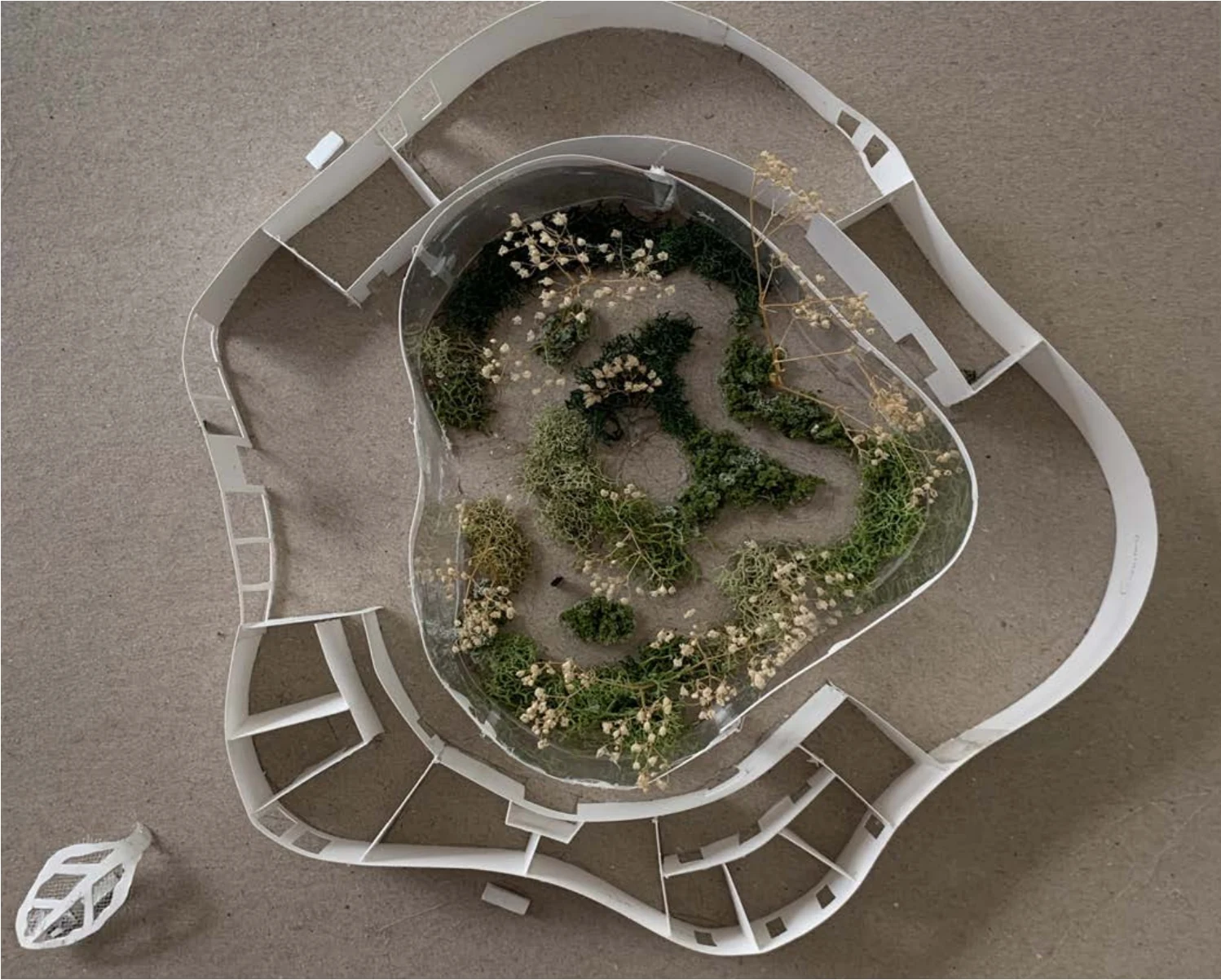 Top view of the model