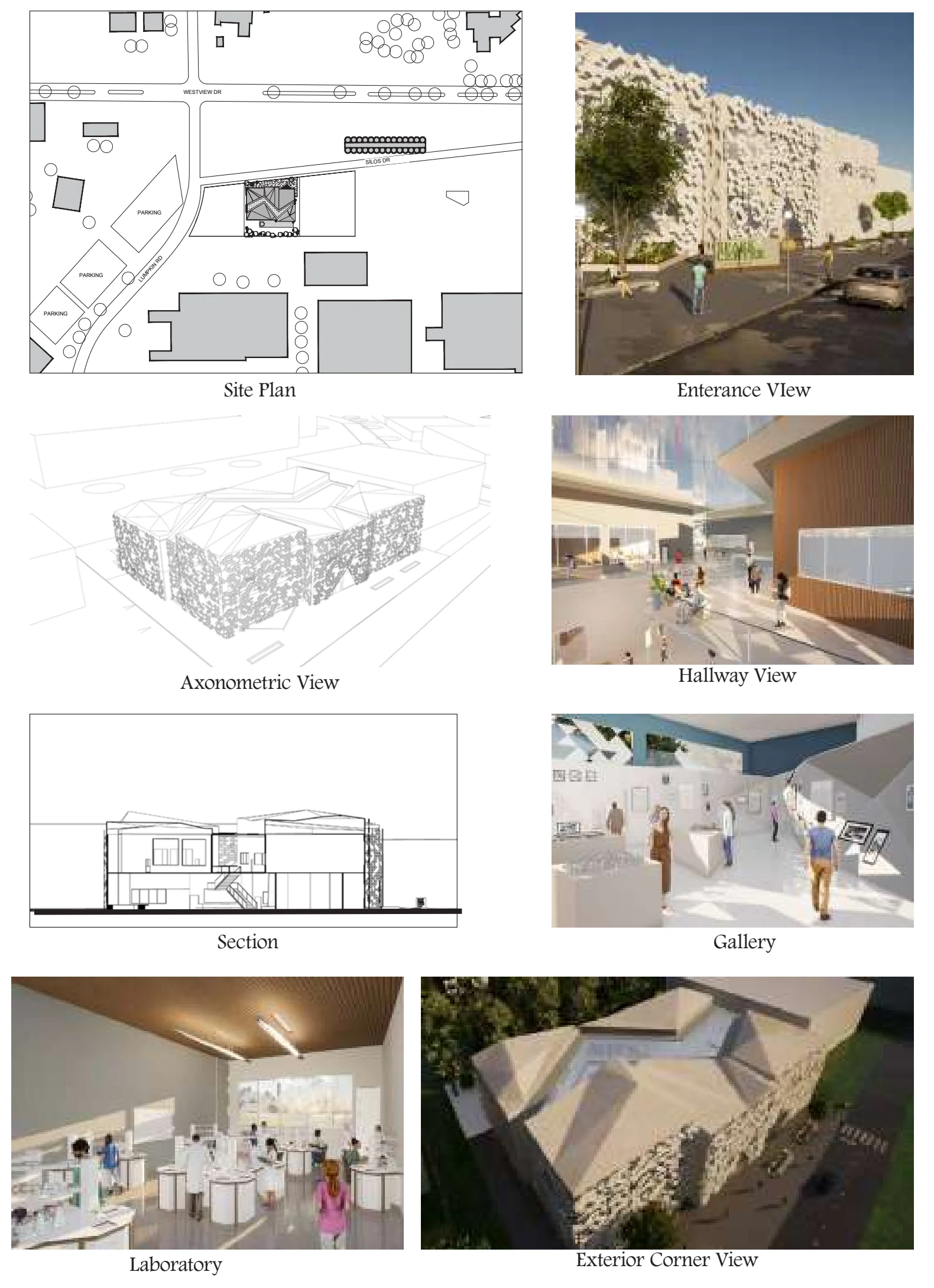 Site, section, and spatial renderings